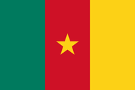 Drapeau Cameroun